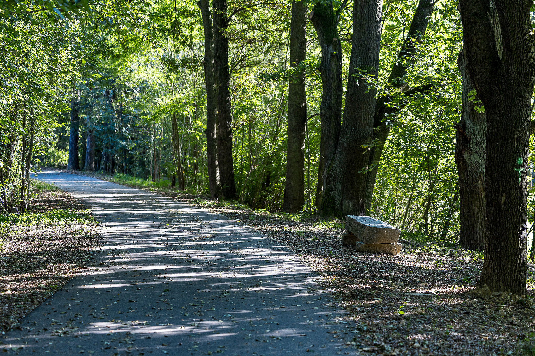 Cyklistické propojení Rezkova ulice - Dolní Skrýchov 